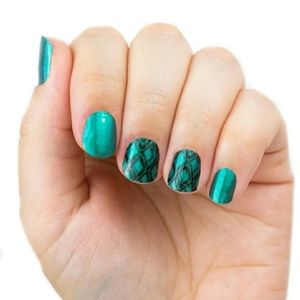 Snake my day color street